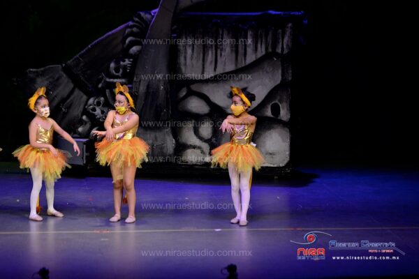 Presentación Estelar Baby Ballet Ojo de Agua - Imagen 4